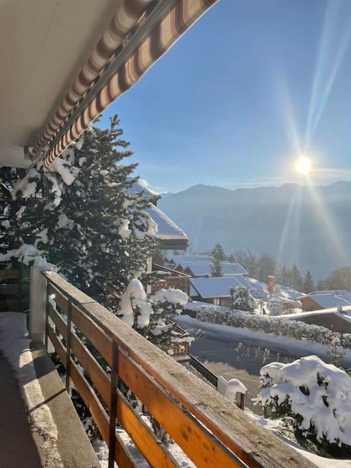 Appartamento Renove Avec Vue Panoramique *